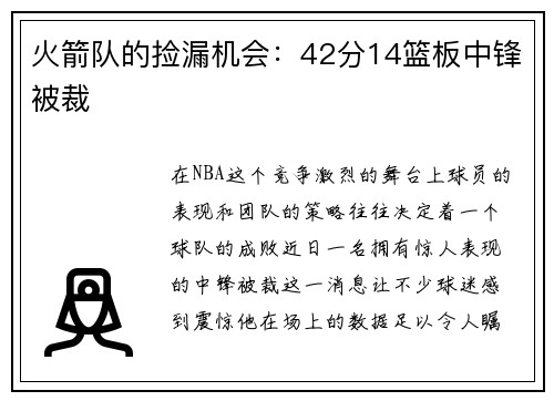 火箭队的捡漏机会：42分14篮板中锋被裁