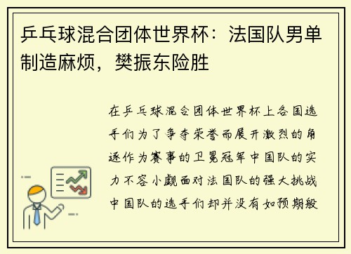 乒乓球混合团体世界杯：法国队男单制造麻烦，樊振东险胜