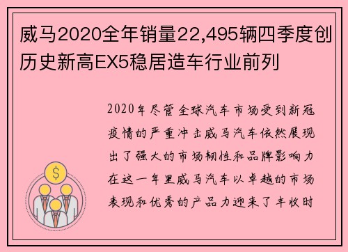 威马2020全年销量22,495辆四季度创历史新高EX5稳居造车行业前列